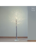 Art Mascagni C927