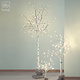 Art Mascagni LED TREE CM.200