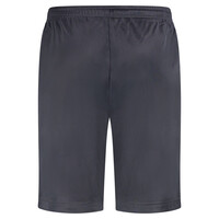 100% HC Training Shorts Essential Grey