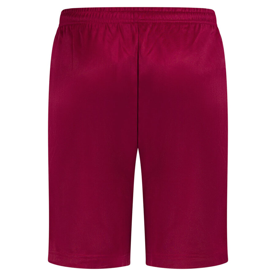 100% HC Training Shorts Essential Red