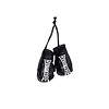 100% HC Boxing Glove Set  Essential