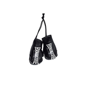  100% HC Boxing Glove Set  Essential 
