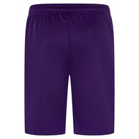100% HC Training Shorts Essential Purple