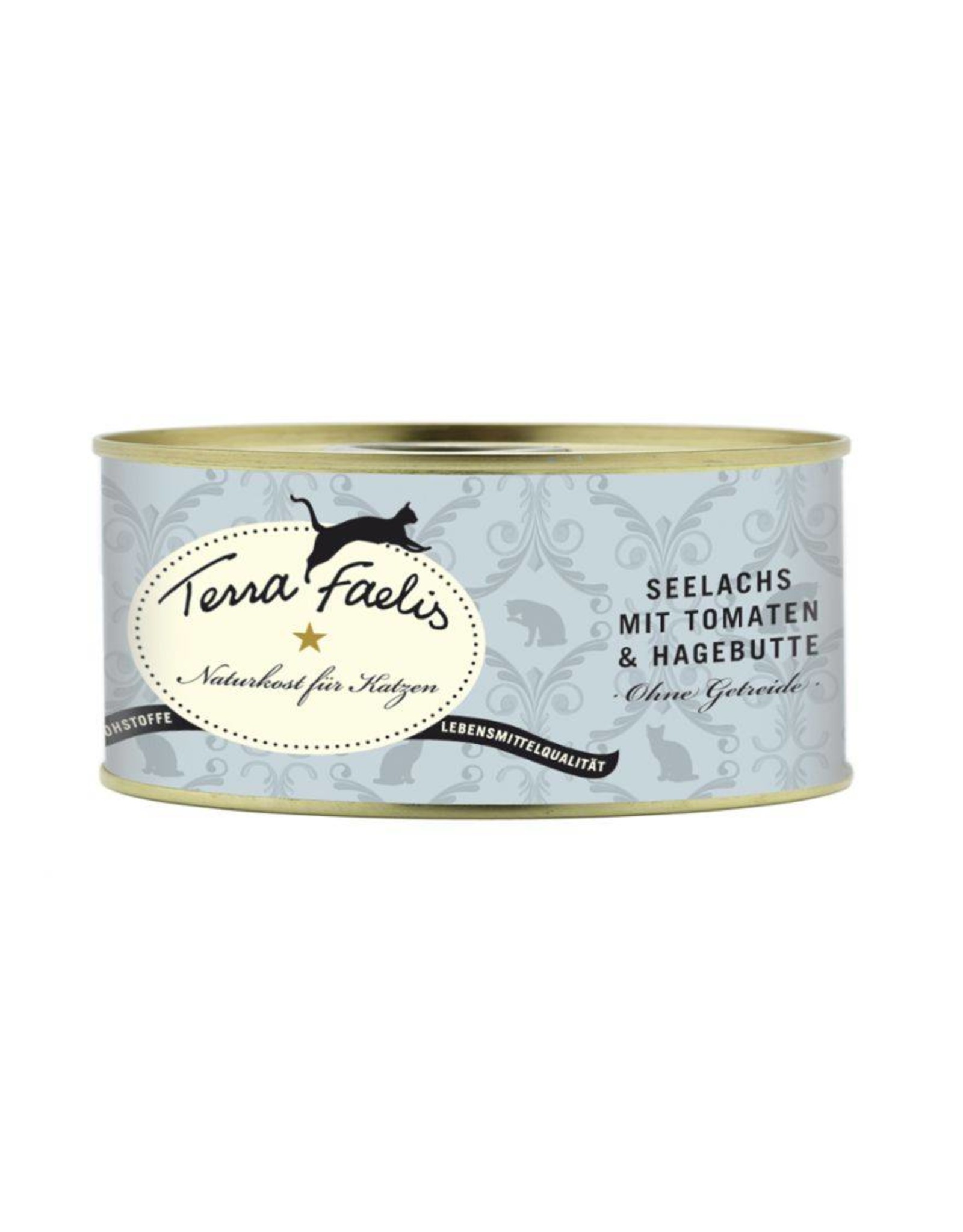Terra Faelis Terra Faelis Lachs mit Kürbis & Hagebutte 100g
