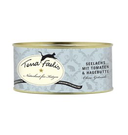 Terra Faelis Terra Faelis Lachs mit Kürbis & Hagebutte 100g