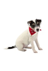 Trixie Trixie Halsband Xmas Necki