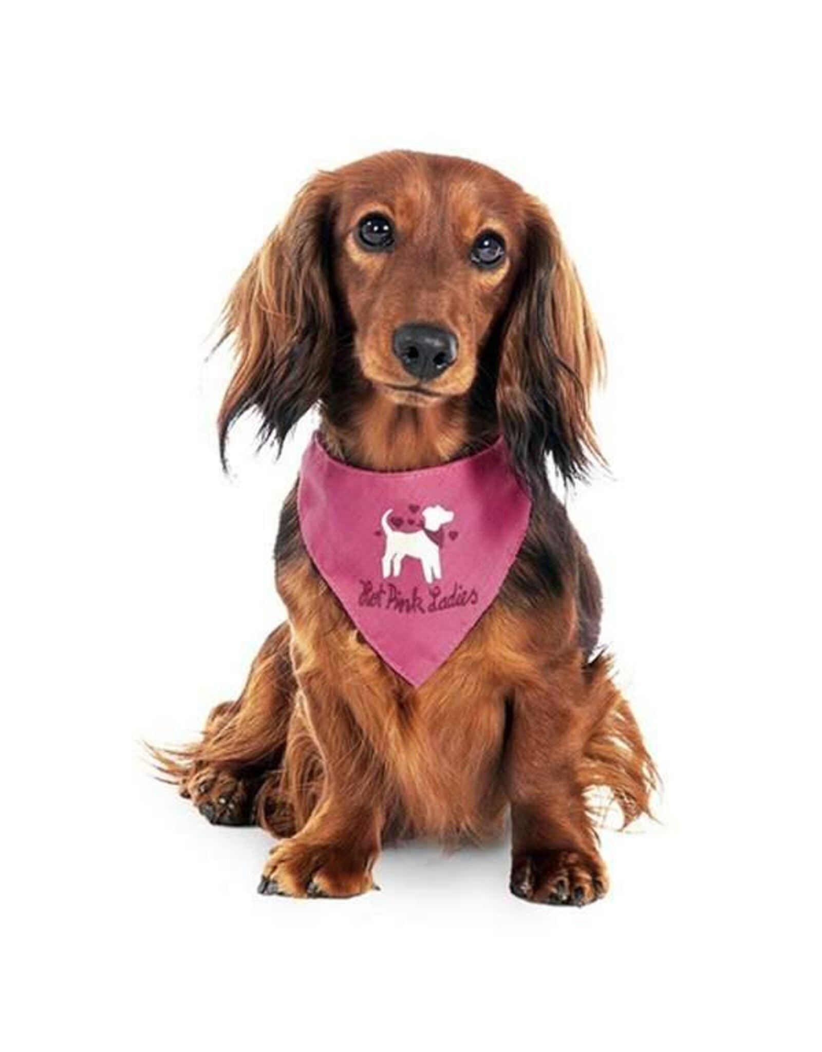 Karlie Karlie Flamingo Halstuch Hot Pink Lady