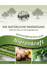 Bellfor Bellfor Nierenkraft Pulver