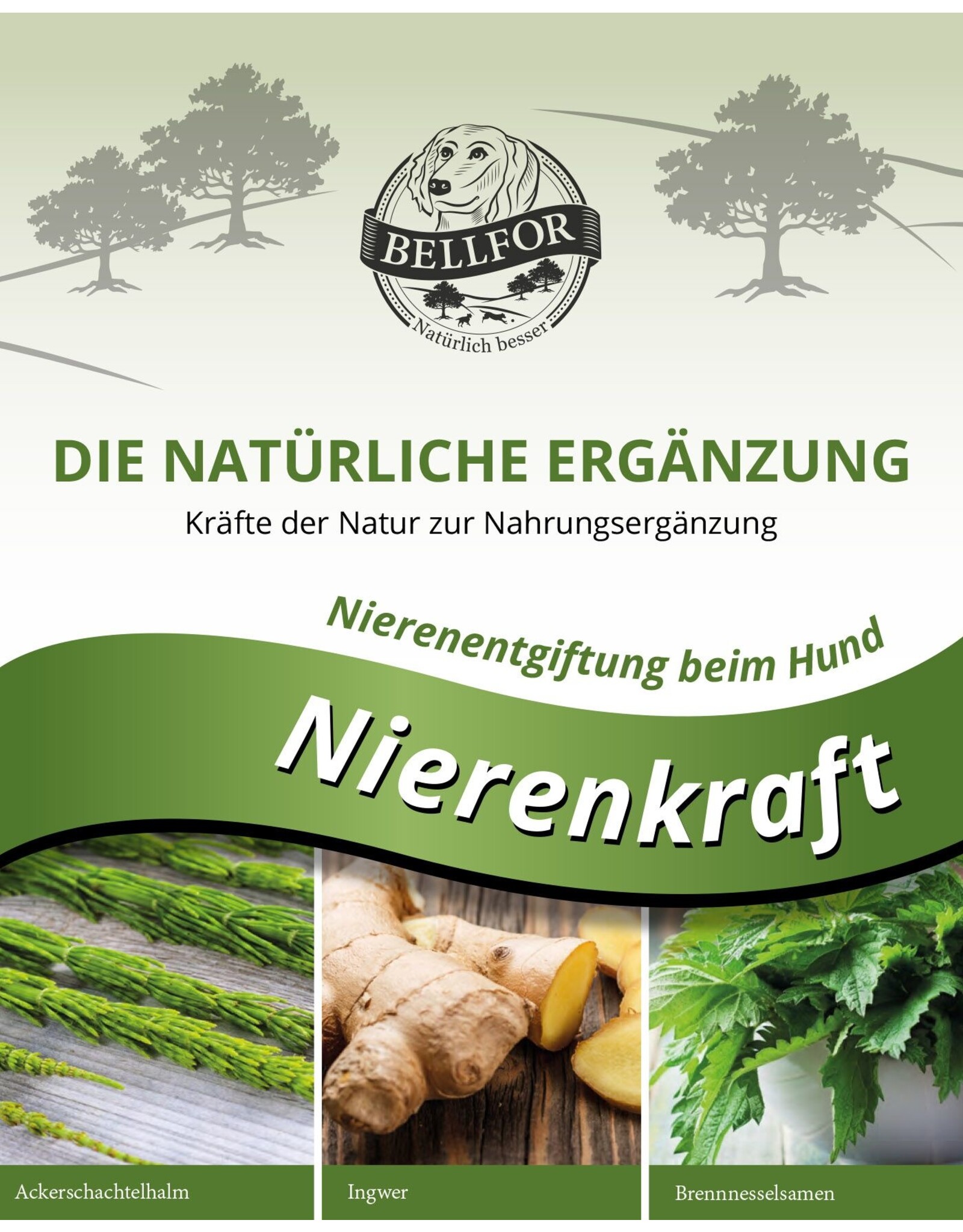 Bellfor Bellfor Nierenkraft Pulver
