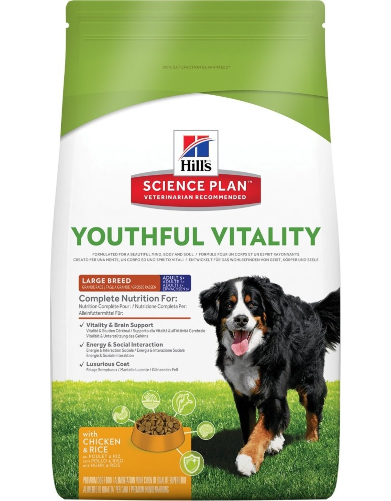 Hills Science Plan Hund Mature Adult 6+ Youthful Vitality Large
