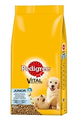 Pedigree Pedigree Junior Medium mit Huhn & Reis 15kg