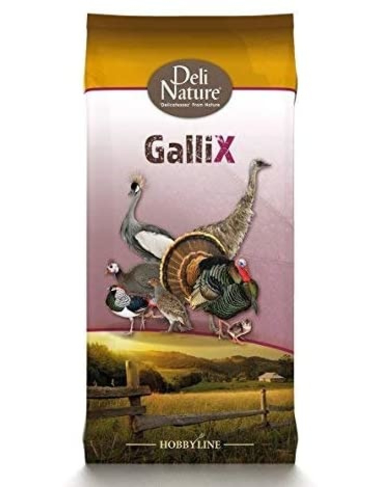 Deli Nature GalliX Ornament Unterhalt 25kg