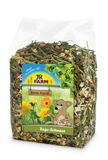 JR Farm JR Degu-Schmaus 800 g - 6 Stk