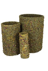 JR Farm JR Farm Frühlings-Rolle mittel 430g