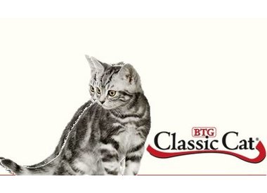 Classic Cat