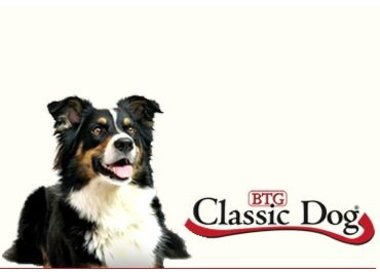Classic Dog