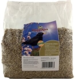Pfiffikus Pfiffikus Sonnenblumenkerne schalenlos  2,5 kg