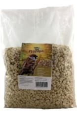 Pfiffikus Pfiffikus Erdnüsse blanchiert 3 x 5,0 kg