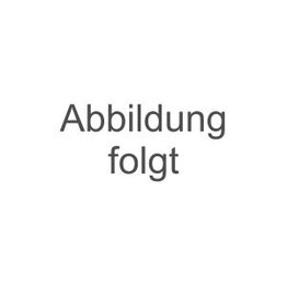 Canius Snacks Canius Kauknochen gefüllt mit Lachs 17cm 1er