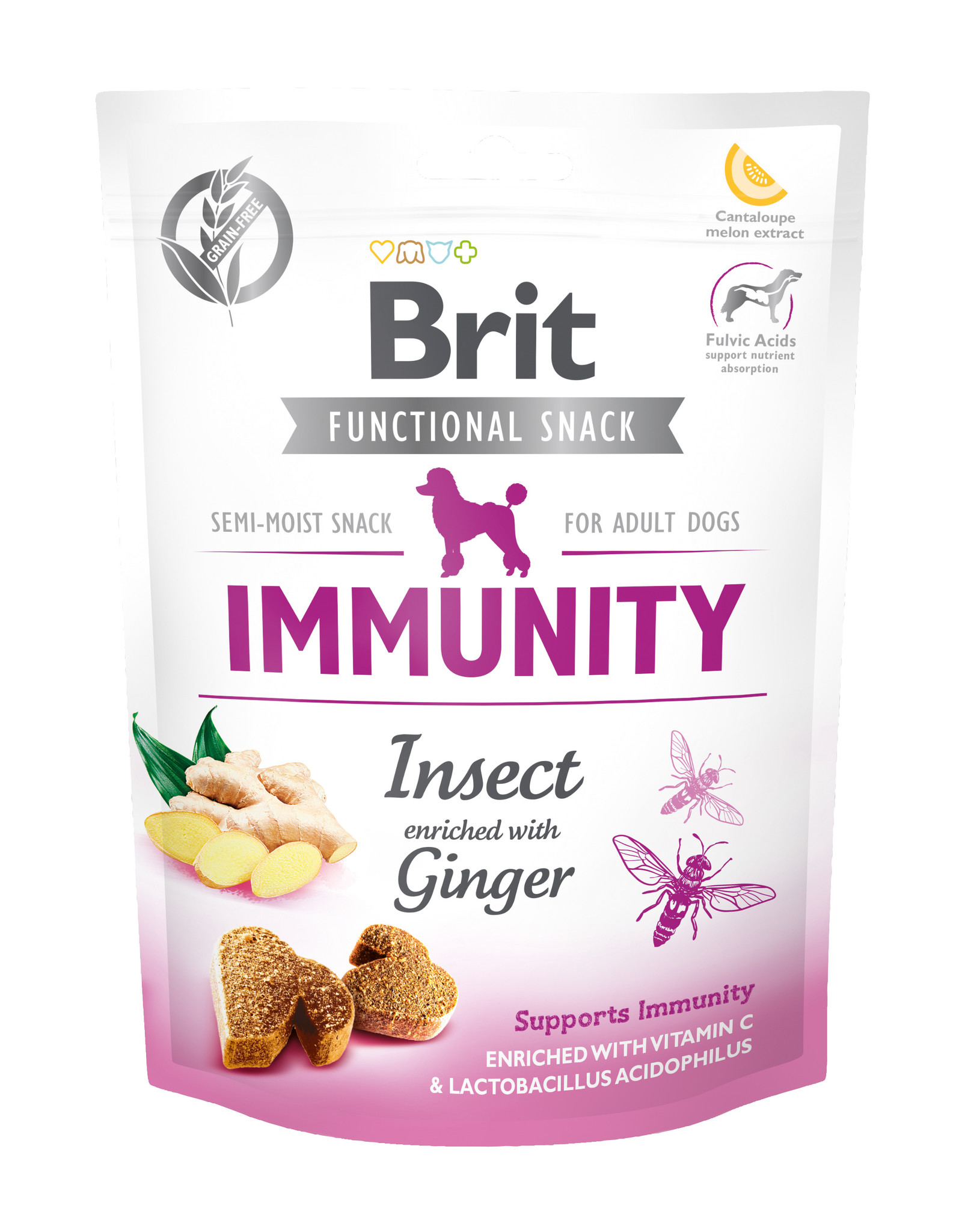 BRIT Brit Dog Functional Snack Immunity Insect - Ingwer 150g