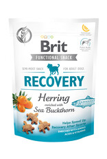 BRIT Brit Functional Snack Recovery Hering + Sanddorn 150g