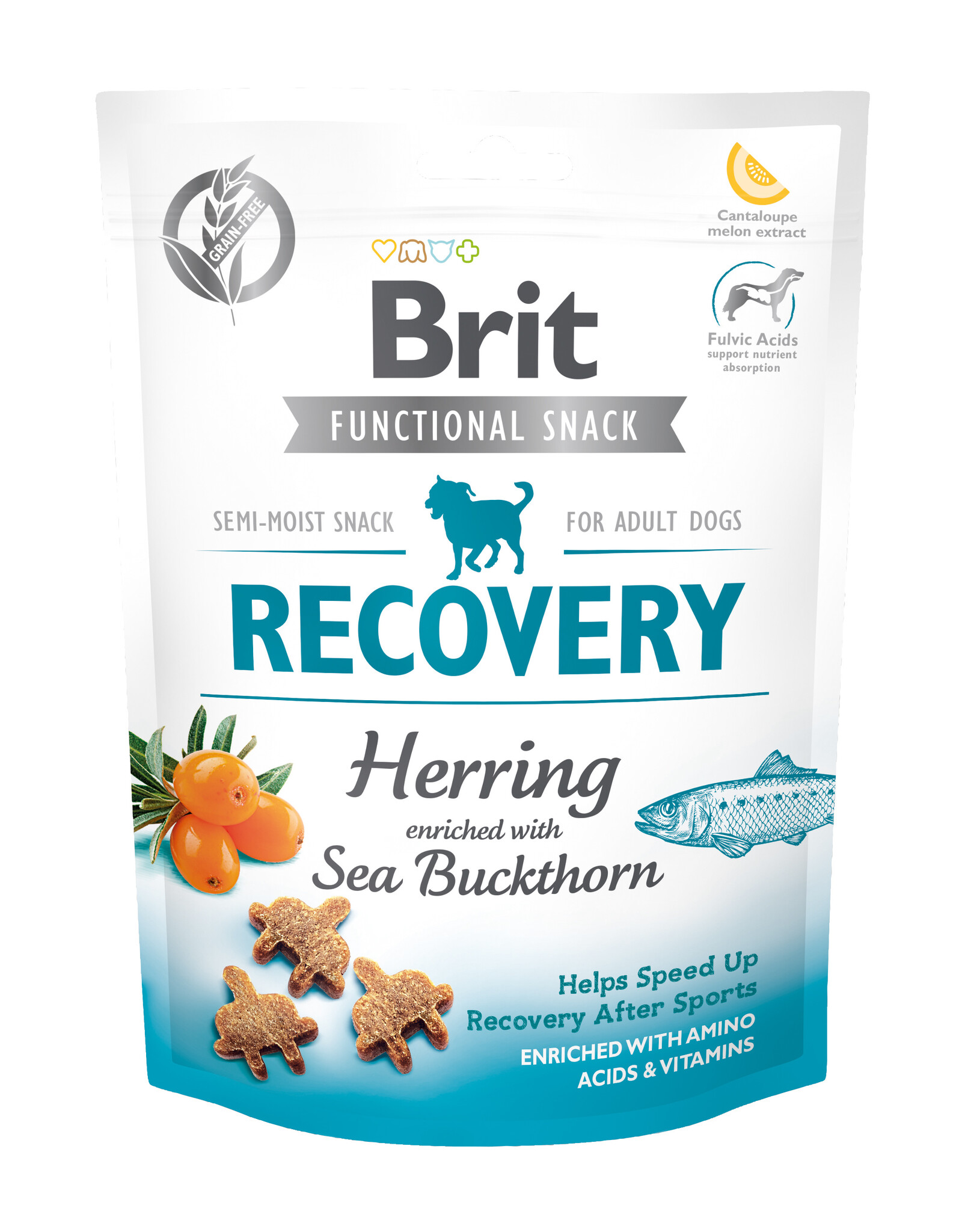 BRIT Brit Functional Snack Recovery Hering + Sanddorn 150g