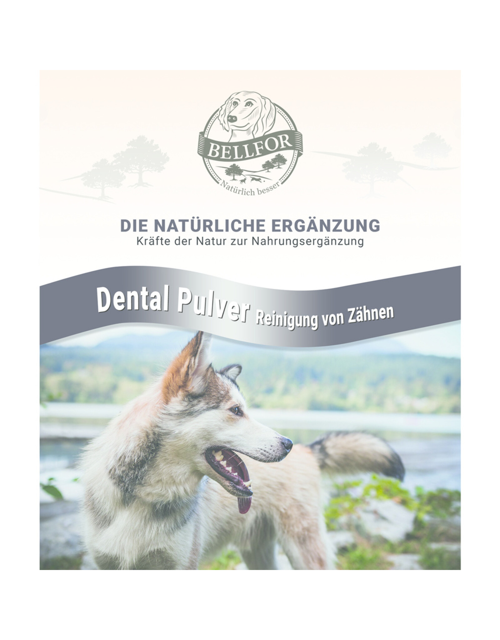 Bellfor Bellfor Dental Pulver für Hunde