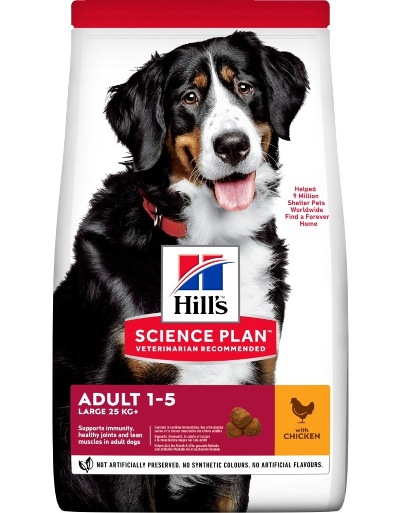 Hills Science Plan Hund Adult Large Breed Huhn