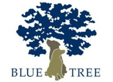 Blue Tree