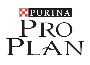 Pro Plan