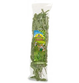 JR Farm JR Farm Buchen-Ernte 40g