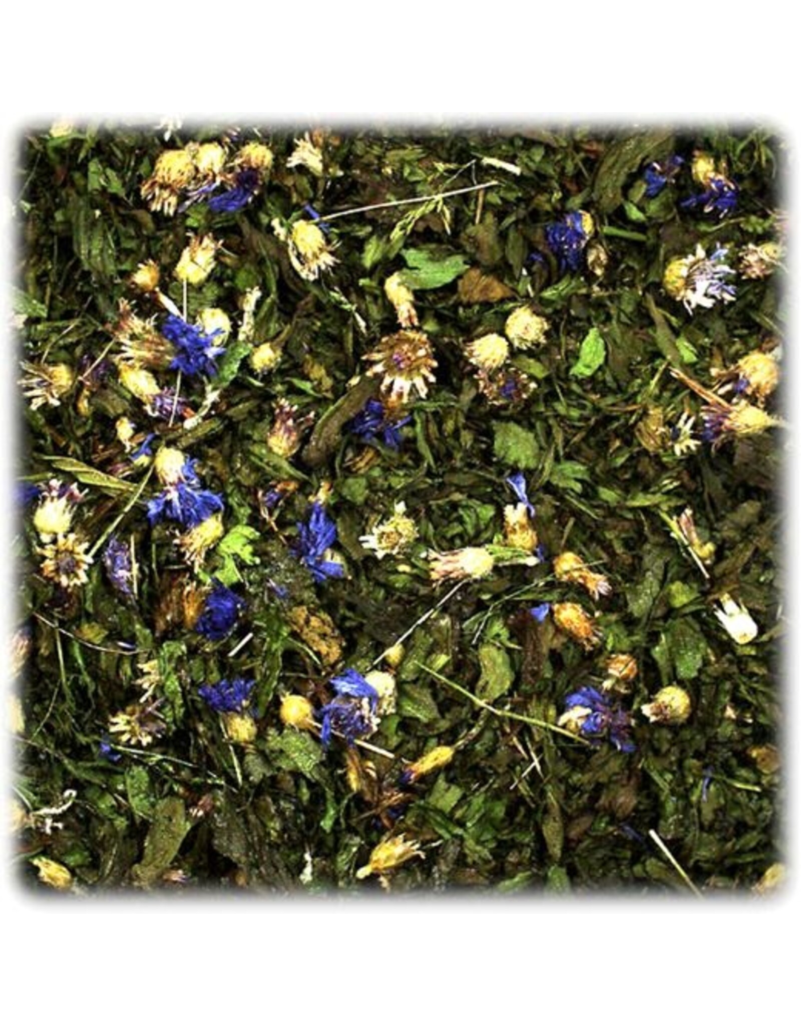 JR Farm 6x JR Farm Spitzwegerich 100g