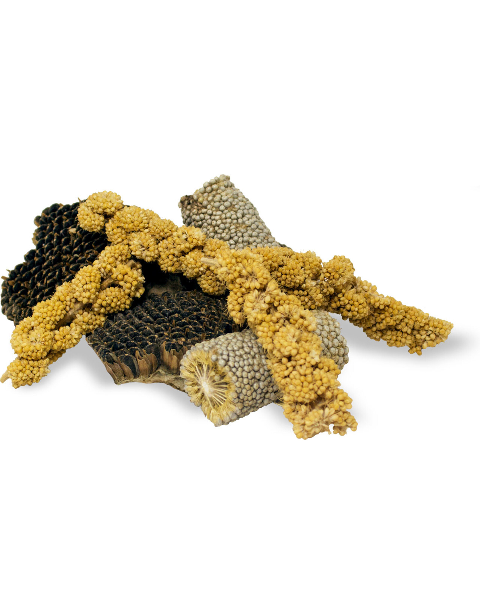 JR Farm JR Farm Knabber-Stücke 50g