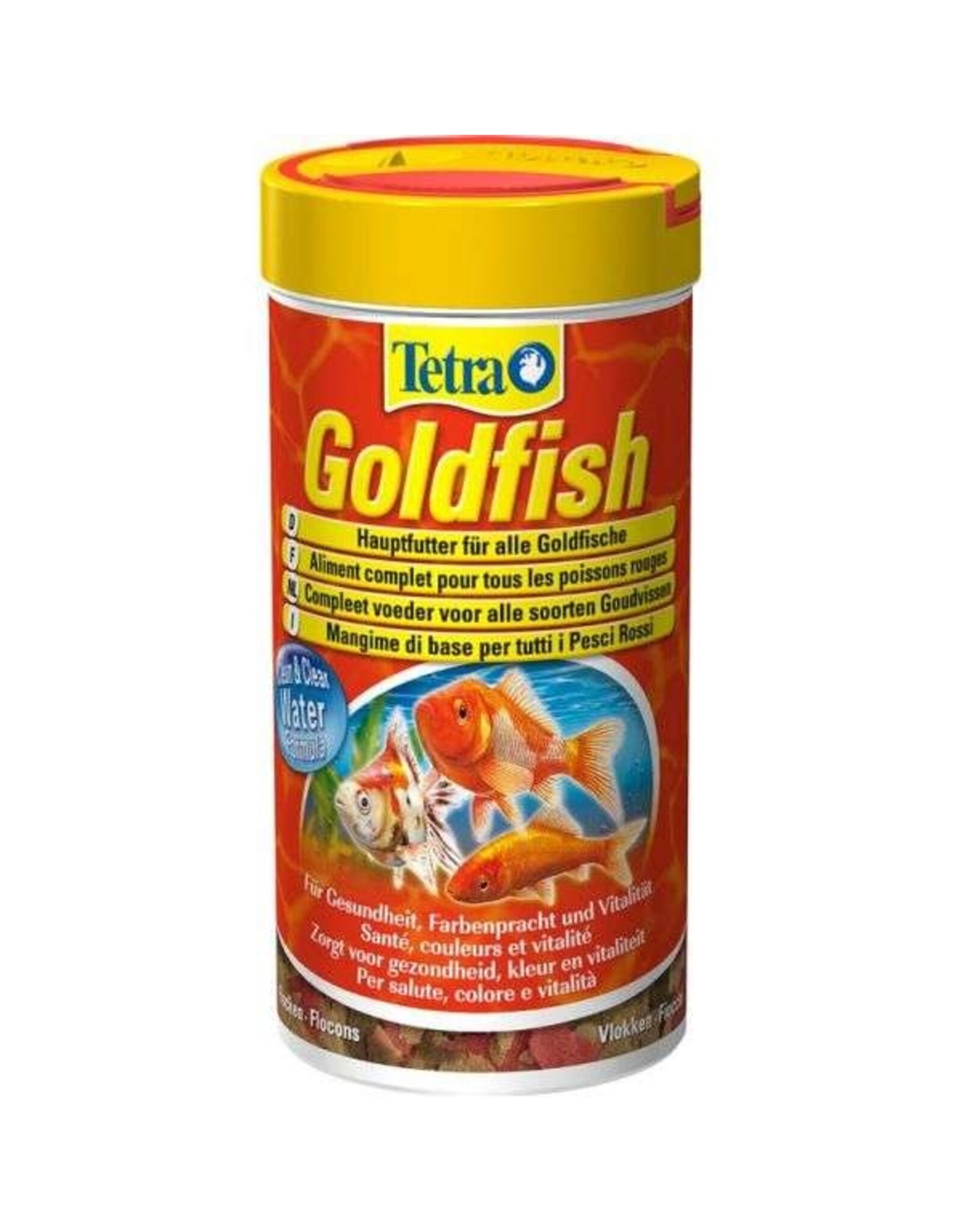 Tetra Tetra Goldfish