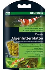 Sera Dennerle Nano Algenfutterblätter 40 Stk