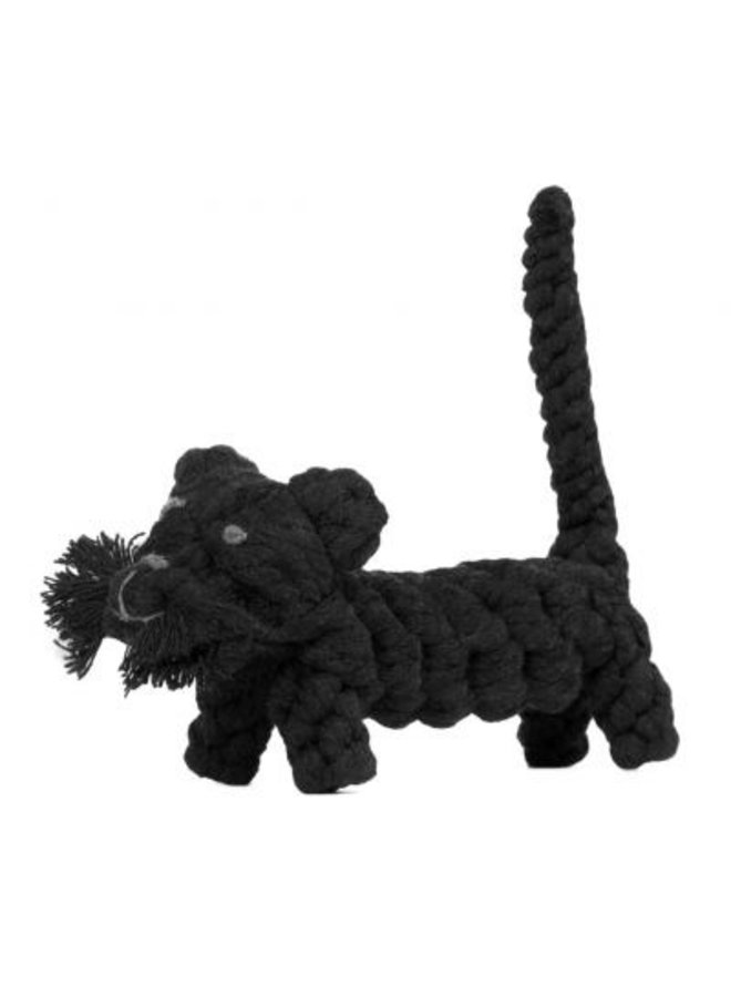 Kater Casanova - Cult toy for dogs