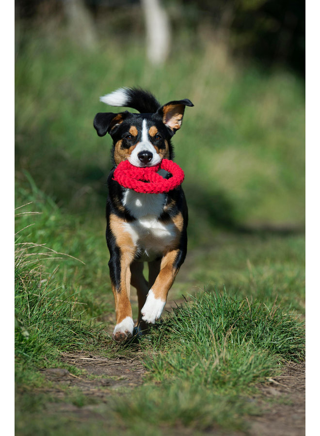 Paulchen Peace - Cult toy for dogs