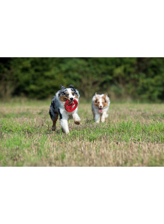 Paulchen Peace - Cult toy for dogs