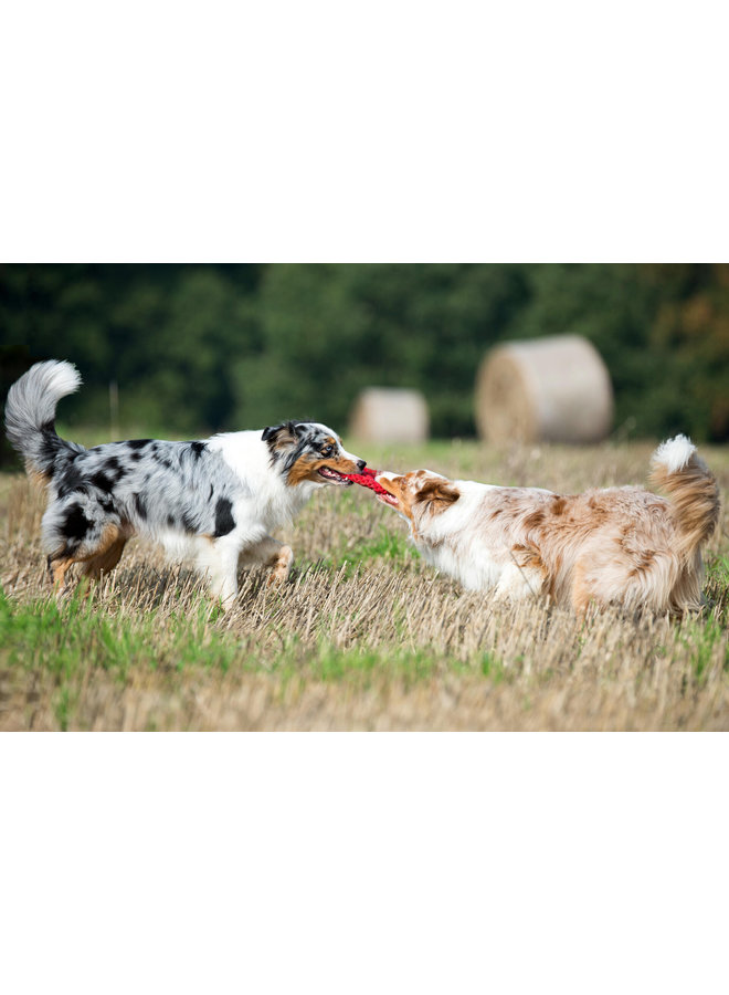 Paulchen Peace - Cult toy for dogs