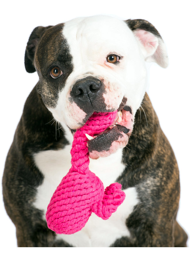 Franzi Flamingo - Cult toy for dogs