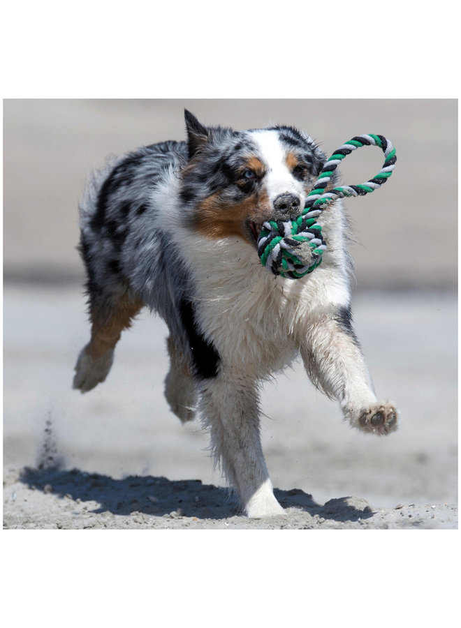 Maxi Ball - Cult toy for dogs