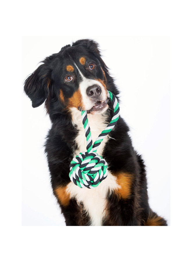 Maxi Ball - Cult toy for dogs