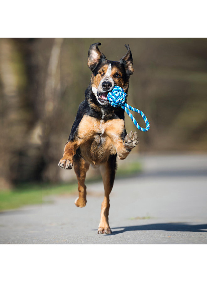 Maxi Ball - Cult toy for dogs