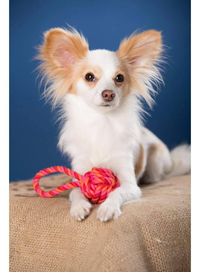 Mini Ball - Cult toy for dogs