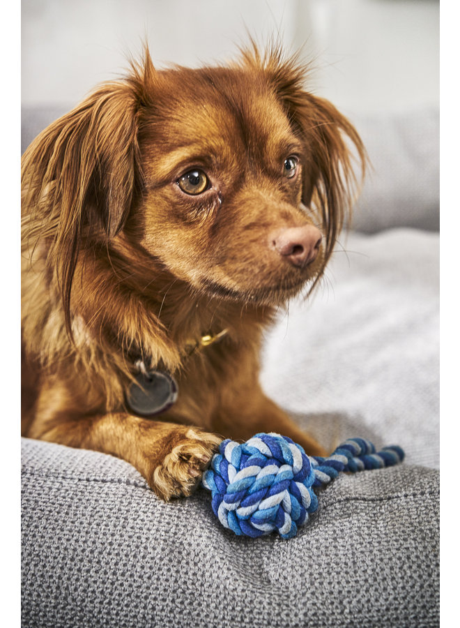 Mini Ball - Cult toy for dogs