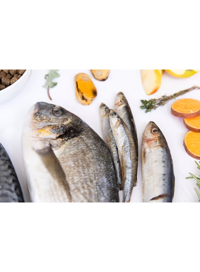 Healthy & Pure - Wild Fish