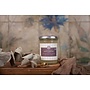 Bone Broth - Paard