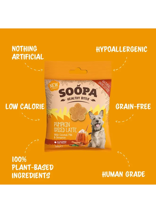 Pumpkin Spiced Latte - Healthy Bites