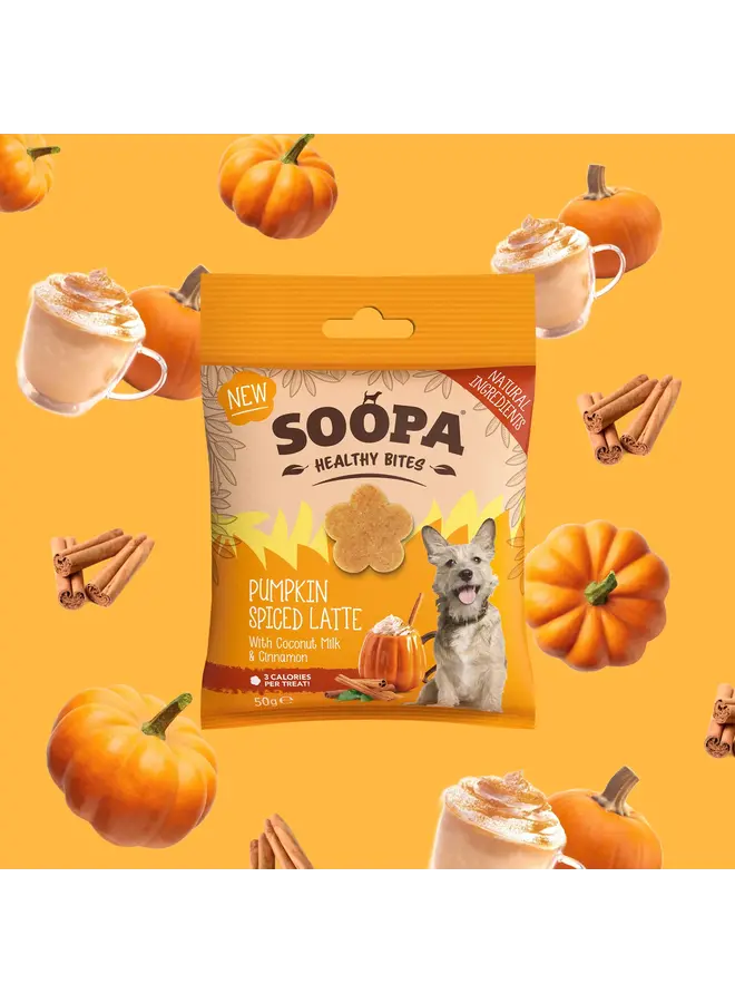 Pumpkin Spiced Latte - Healthy Bites