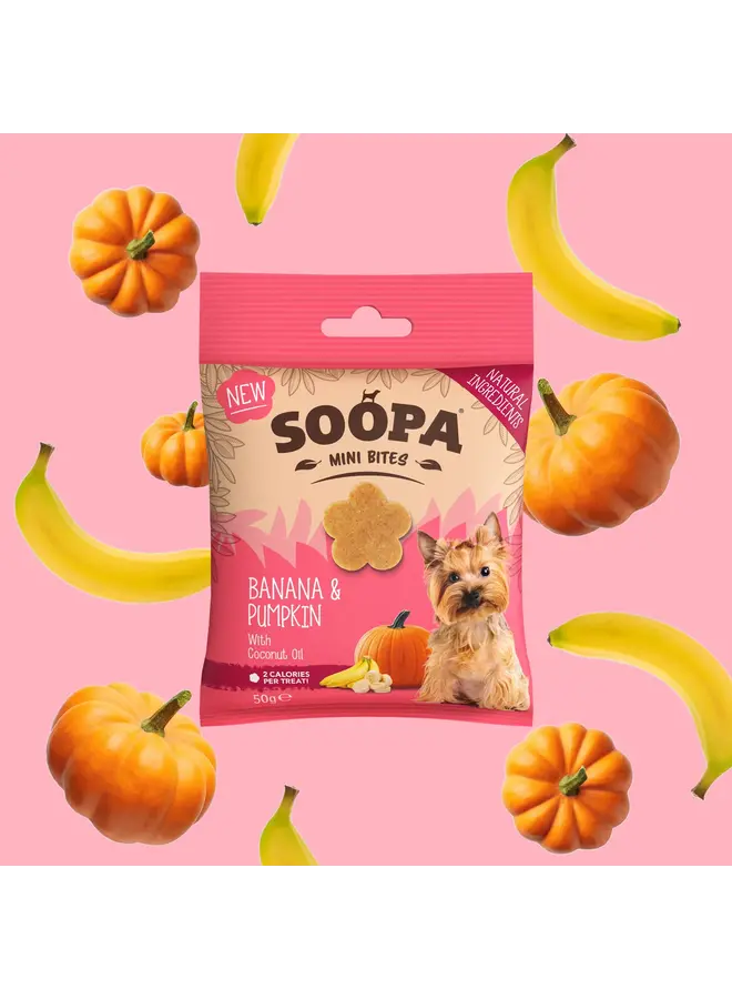 Banana & Pumpkin - Healthy Bites for Mini Dogs